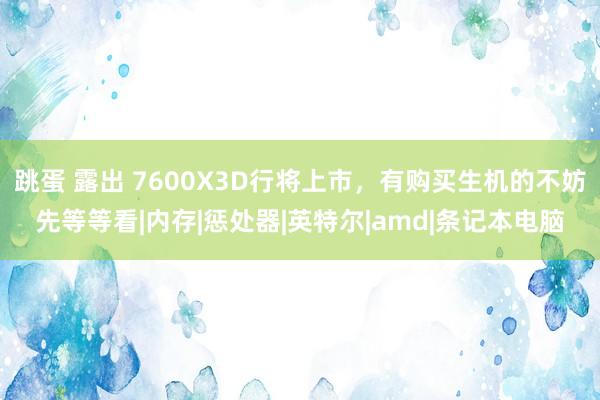 跳蛋 露出 7600X3D行将上市，有购买生机的不妨先等等看|内存|惩处器|英特尔|amd|条记本电脑